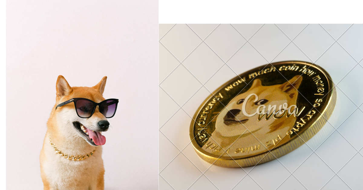 What is Shiba Inu Coin? Price, Predictions, Buying Guide, Review 2021