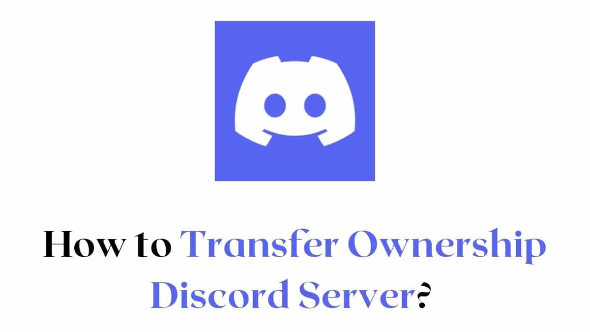 Transfer Ownership Discord Server