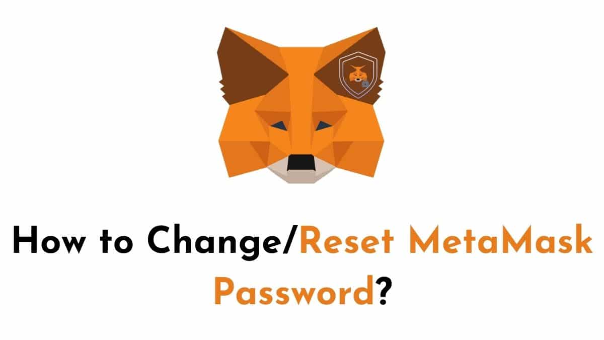 Reset MetaMask Password