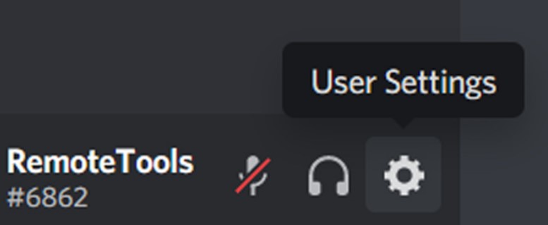 Go to the User Settings on Discord